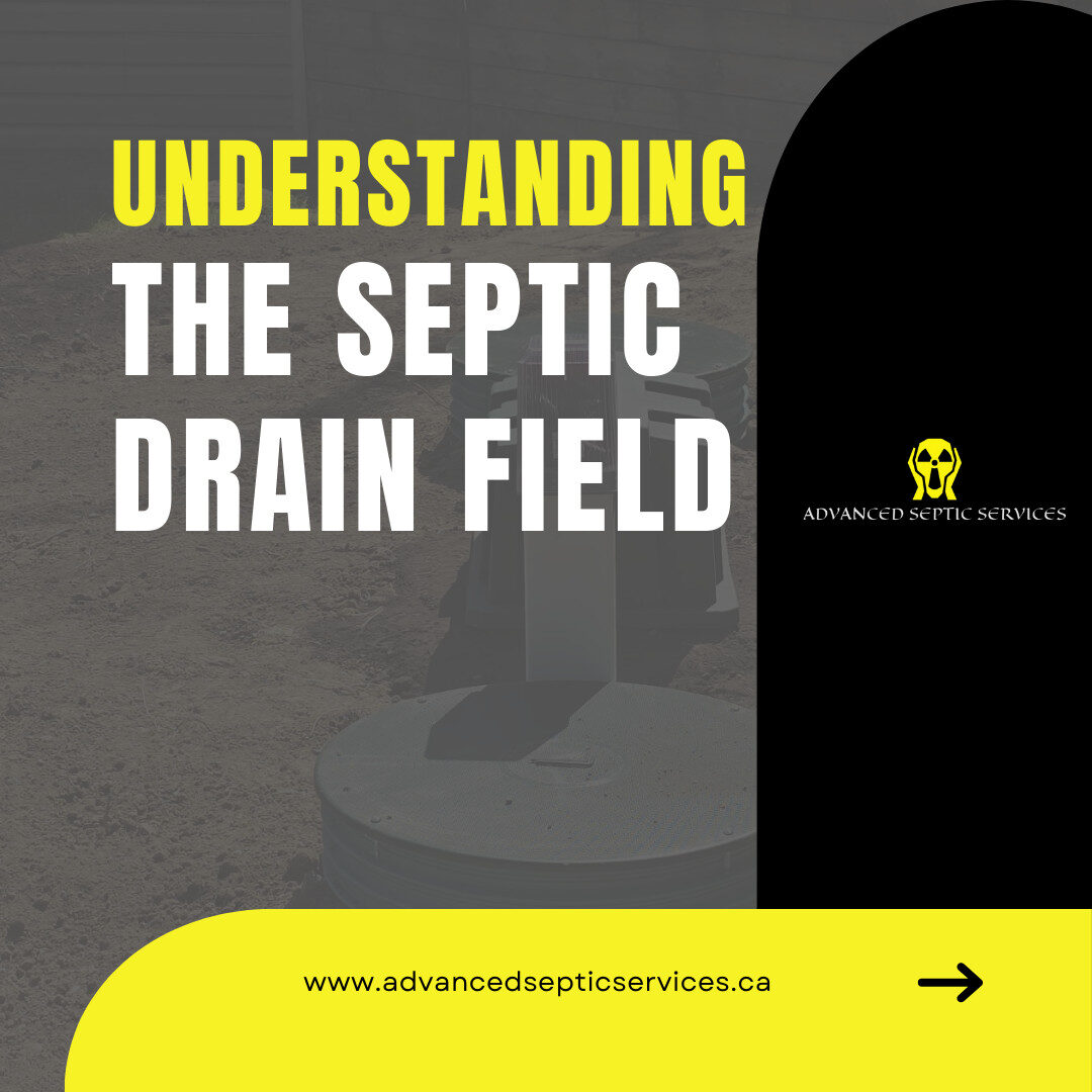 Septic Drain Field Not Draining? Common Problems and How to Fix Them
