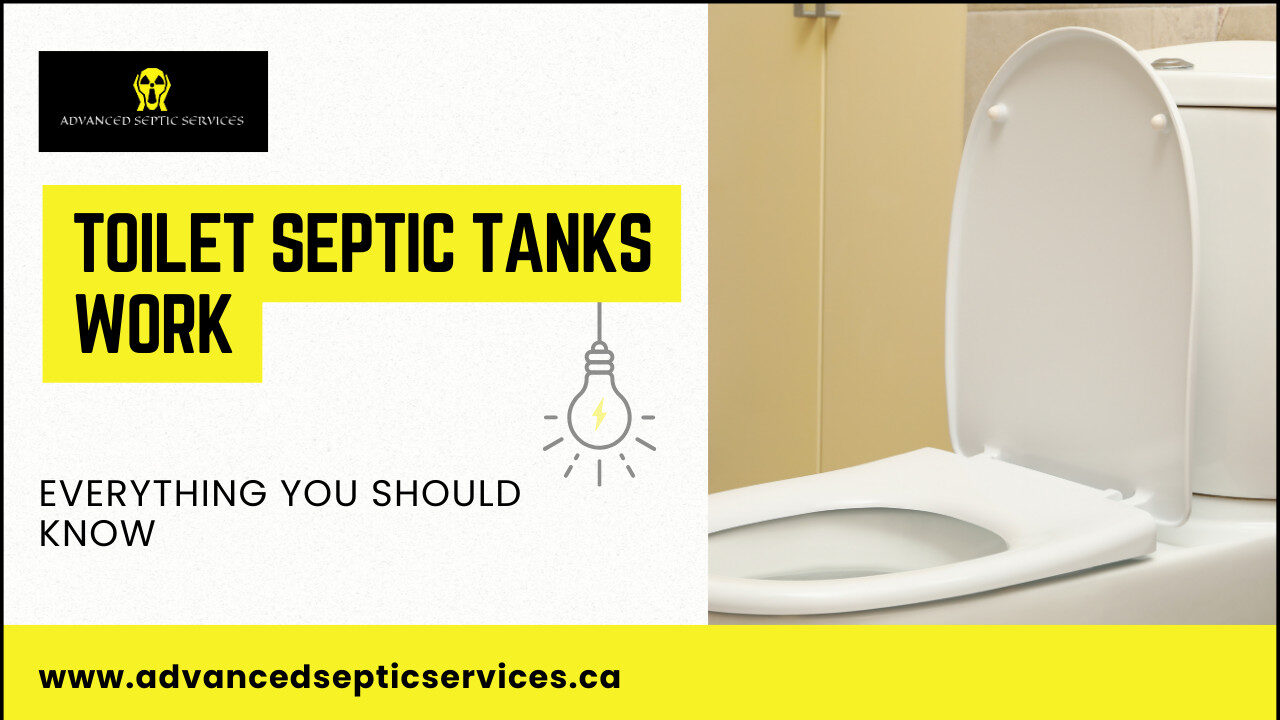 How Toilet Septic Tanks Work: Everything You Should Know