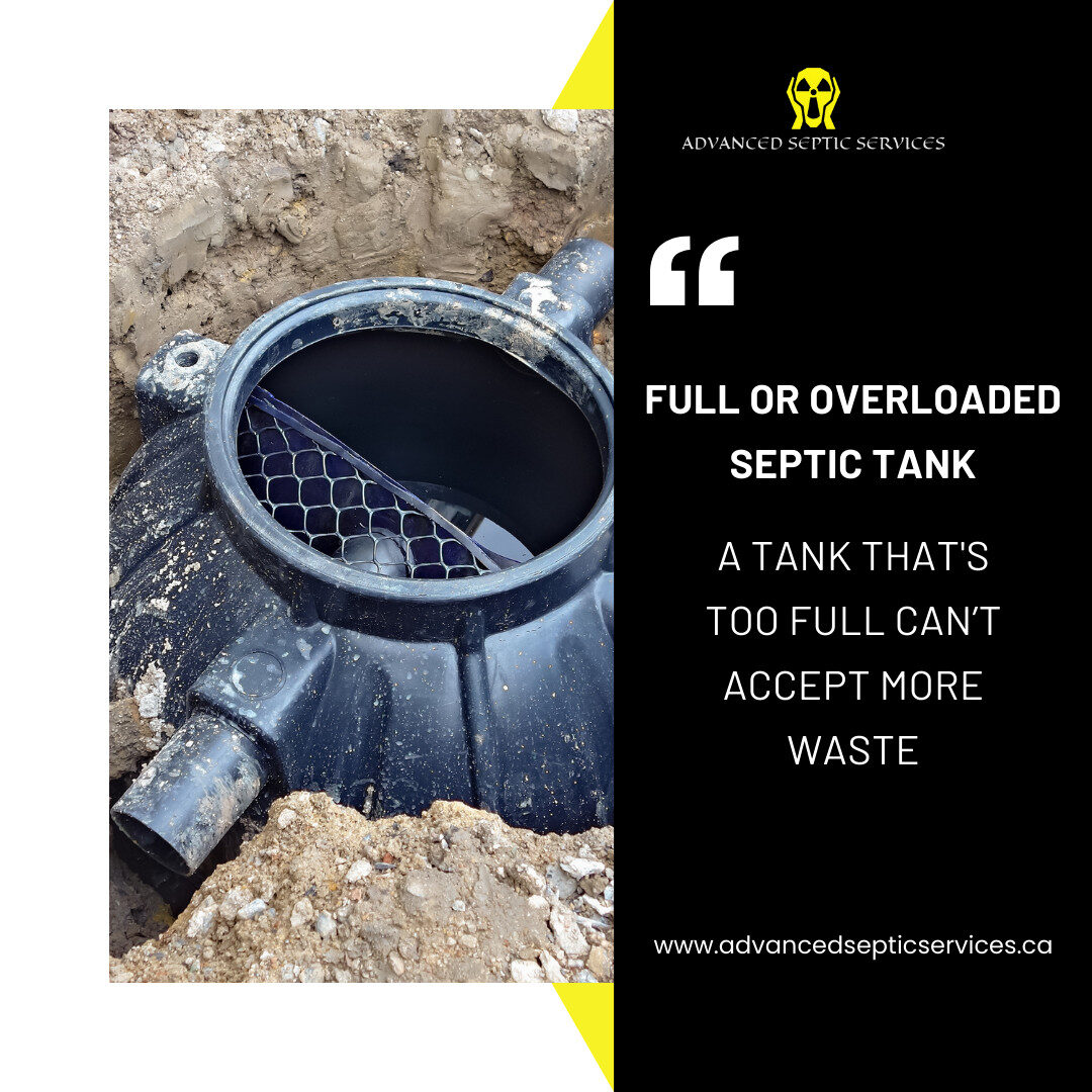 Septic Tank Backup? Causes, Signs, and What to Do Next