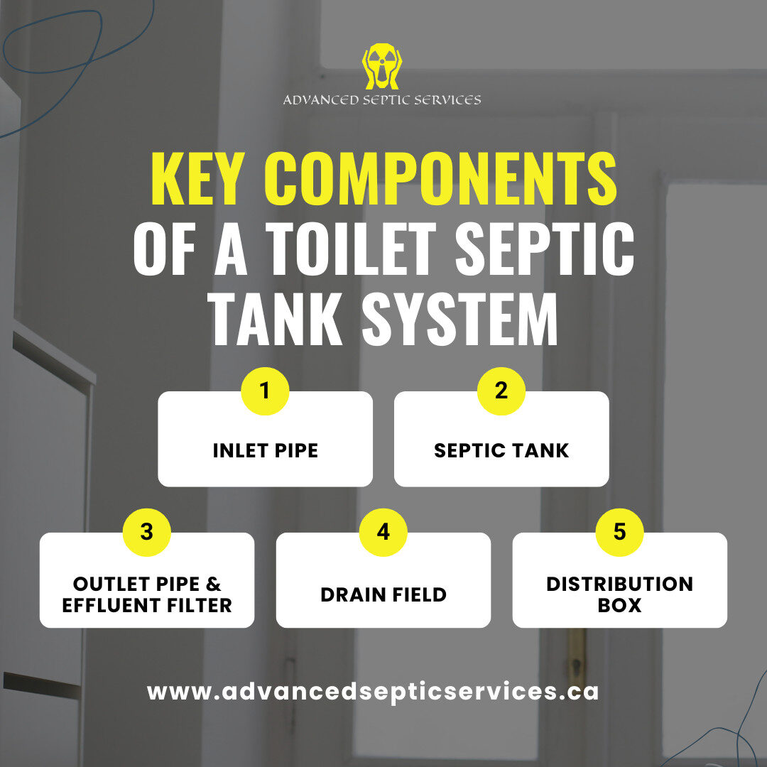 Toilet Septic Tank: How Toilet Septic Tanks Work: Everything You Should Know