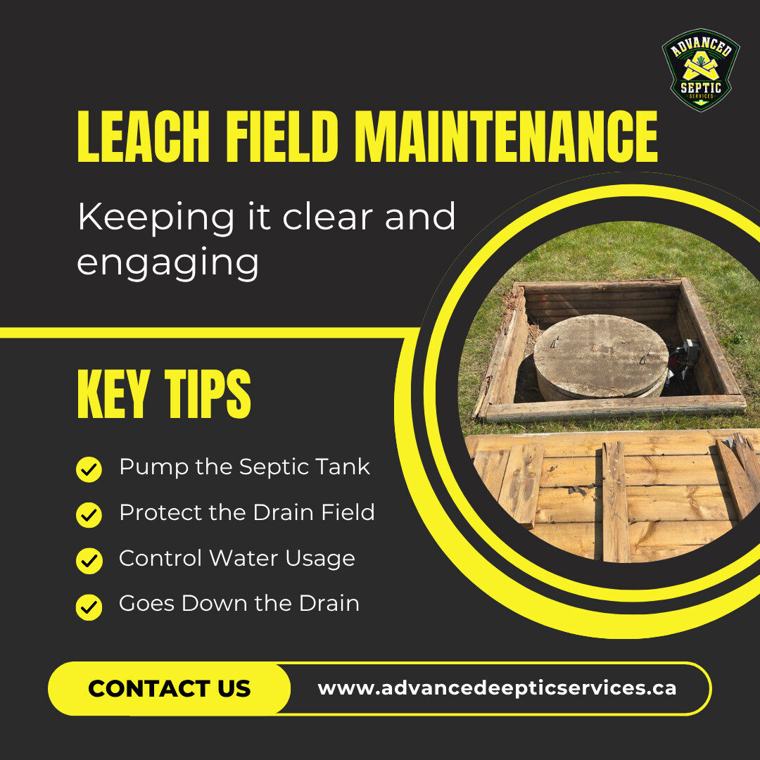 Drain Field Maintenance: How to Keep Your Leach Field Working Properly