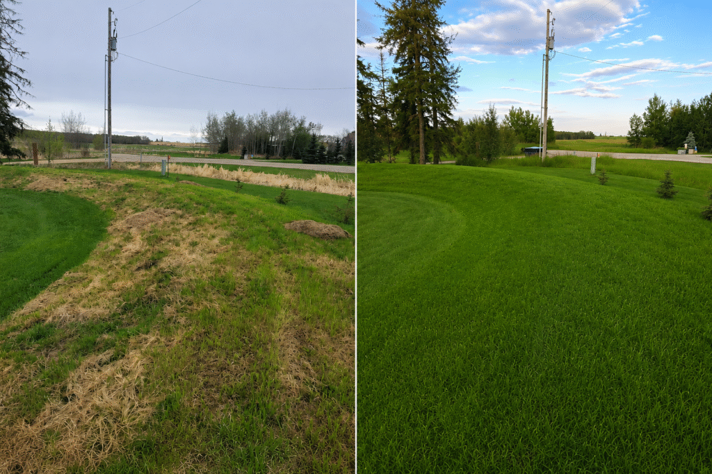 septic system maintenance - before and after