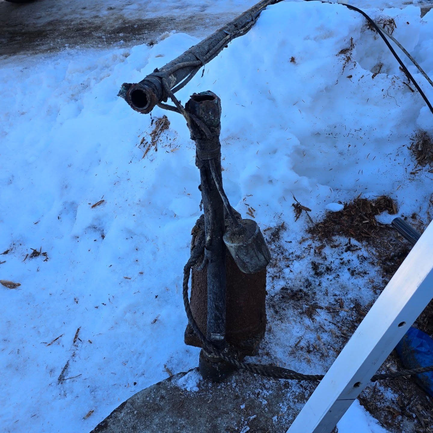 septic pump replacement