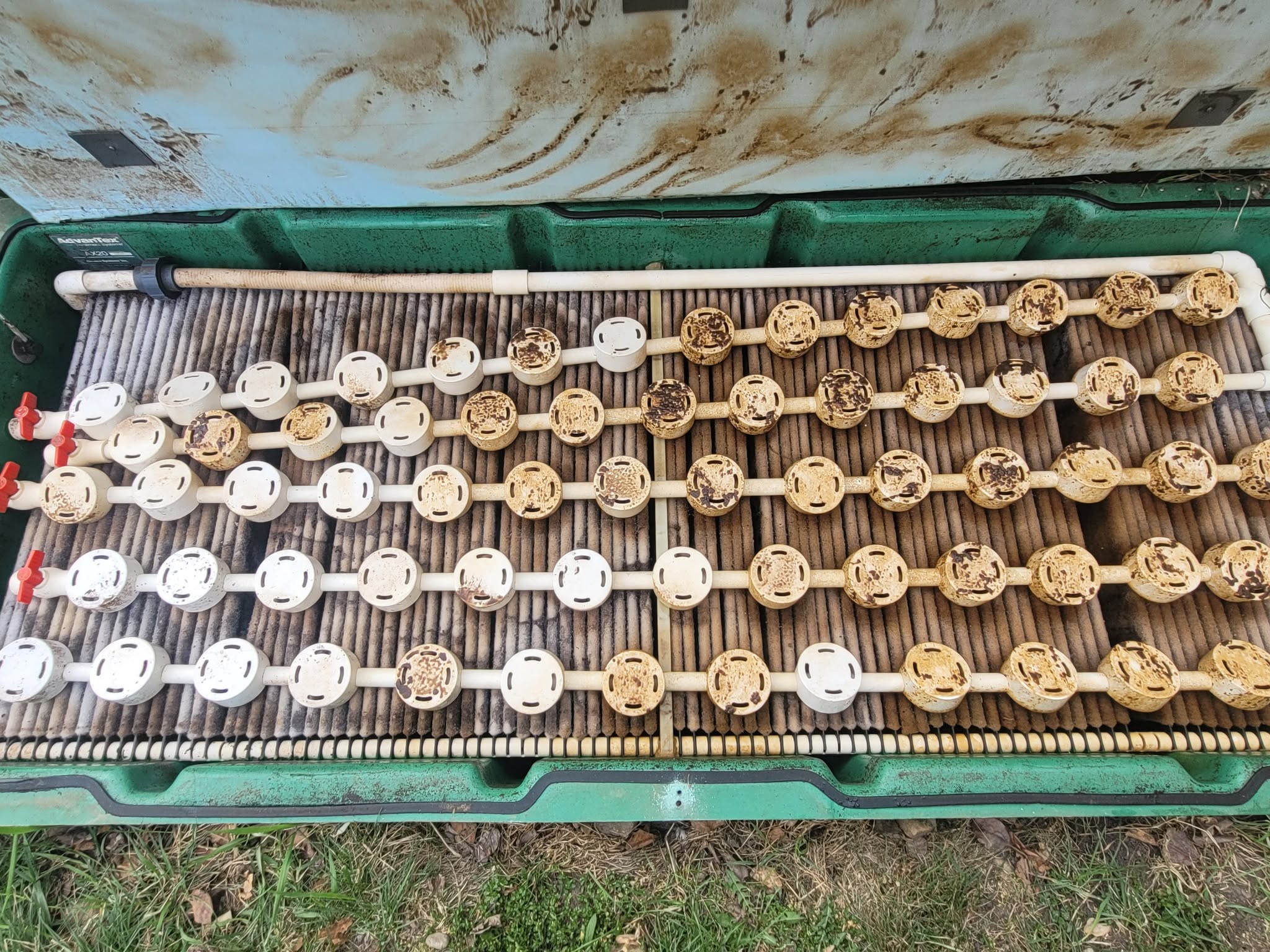 septic system maintenance